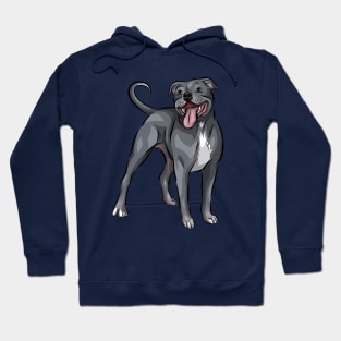 Cute Blue Staffordshire Bull Terrier Dog Hoodie